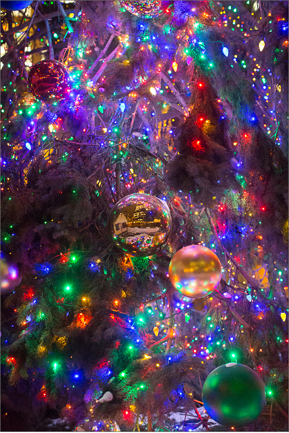Holiday Tree at Daley Plaza Christkindlmarket | Chicago, IL | Cheryl Hall Photography
